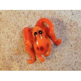 chobotnice oranžová